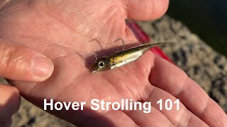 Hover Strolling 101 with Fish Arrow Flash J [upl. by Boswall]