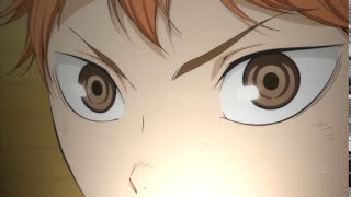 Rise  Hinata Shouyou AMV [upl. by Crowe]