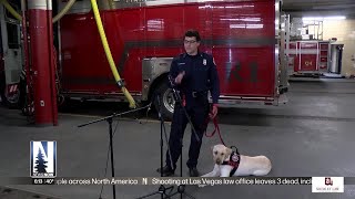 Duluth Fire Department welcomes arson K9 in Minnesota [upl. by Okika748]