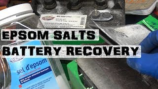 Recover Lead Acid Batteries  Desulfate using Epsom Salts [upl. by Comptom]