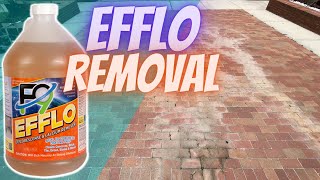 Using F9 To Remove Efflorescence￼ and Rust [upl. by Boni]