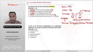 Endocrinología BANCO VILLAMEDIC 2024 ENAM [upl. by Ahseinar827]