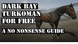 HOW TO GET THE DARK BAY TURKOMAN for free A No Nonsense Guide Red dead Redemption 2 [upl. by Yecniuq394]