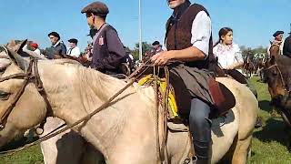 Cabalgando a quotLa Fiesta del Talar  2024quot desde la rotonda de Madariaga [upl. by Cl]