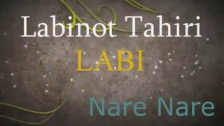 Labinot Tahiri  LABI  Nare Nare 2013 [upl. by Soutor]