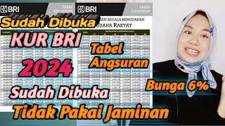 Pinjaman KUR BRI 2024 Sudah dibuka  Tabel KUR BRI 2024 [upl. by Nnasor947]