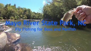 Fly Fishing Mayo River State Park NC for Smallmouth Bass and Panfish Moonlit S Glass 7 weight [upl. by Akeirahs909]