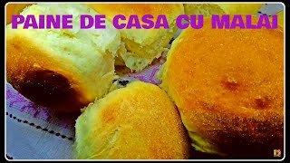 PAINE DE CASA CU MALAI [upl. by Lovel]