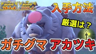 【入手方法】アカツキのガチグマ入手amp厳選のコツ紹介【ポケモンSVスカーレット バイオレット】 [upl. by Franklyn678]