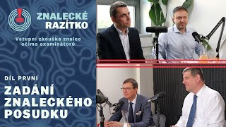 ZNALECKÉ RAZÍTKO  1 Zadání znaleckého posudku [upl. by Waldos382]