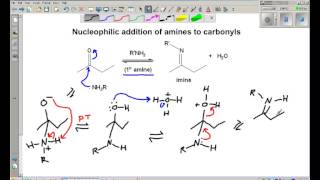 imine enamine formation [upl. by Ynattir76]