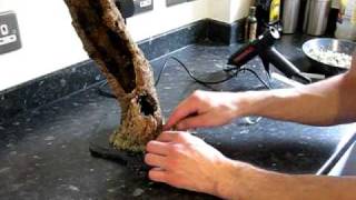 Setting up an arboreal tarantula terrarium PART 1 [upl. by Yluj]