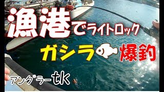 漁港でお手軽なﾛｯｸﾌｨｯｼｭｹﾞｰﾑを楽しむ。ｱﾝｸﾞﾗｰｔｋ＜右巻き大好き＞28 [upl. by Filbert]