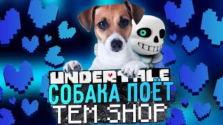 Toby Fox  Undertale  Tem Shop  Dog Song Dog Cover [upl. by Ardnasil]