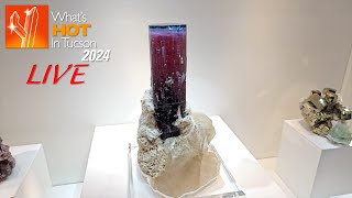 Wilensky Exquisite Minerals  Whats Hot In Tucson 2024 LIVE [upl. by Rives]