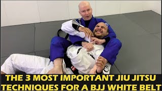 The 3 Most Important Jiu Jitsu Techniques For A BJJ White Belt by John Danaher [upl. by Heddy]