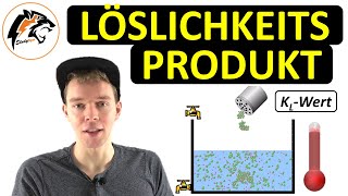 Das Löslichkeitsprodukt Aufgaben  NEU [upl. by Eserehs860]