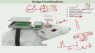 Lec 49 Electronic Systems for Brain Stimulation  I [upl. by Eade]