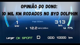 Opinião do dono após 10 mil km rodados no BYD Dolphin GS [upl. by Nylsor]