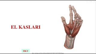 10 El Kasları [upl. by Irabaj]