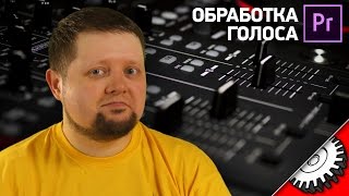 ОПЕРАТИВНАЯ ОБРАБОТКА ГОЛОСА В Premier Pro [upl. by Aierbma382]