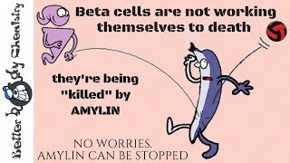 What is really killing beta cells in type 2 diabetes and can it be stopped [upl. by Adnat434]