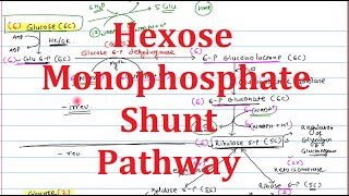 HMP shunt pentose phosphate pathway part 1 [upl. by Philcox697]