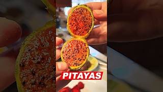 The Rare Mexican Fruit You Need to Try  pitayas shorts [upl. by Oak371]