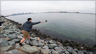 Teaching My Friend How to Fish  SPOTTED BAY BASS BONITO amp HALIBUT in San Diego Bay [upl. by Layap959]