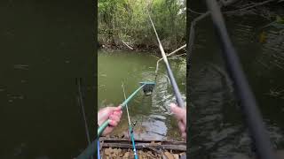 Fish catching with fishing rod reel fishing [upl. by Oilenroc]