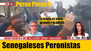 ¿ Peronismo empezo a reclutar Senegaleses mileipresidente Javier Milei Presidente [upl. by Amethyst]