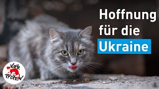 Hoffnung für die Ukraine  VIER PFOTEN [upl. by Aivax942]