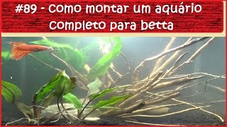 Como montar um aquário completo para betta [upl. by Abigale633]