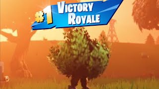 FREE Wins in Fortnite 2024 [upl. by Aititel]