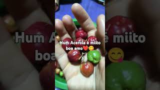 voz essencia valor acerola [upl. by Viafore]