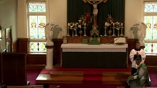 SSPXNZLIVE Live Stream  8 October 2017 High Mass [upl. by Kellina]