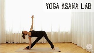 Yoga Asana Lab Externally rotated postures Warrior II Half Moon Right Angle Triangle [upl. by Naleag939]