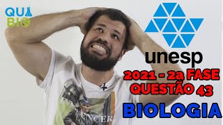 UNESP 2021  Questão 43  Pesquisadores “imprimiram” o primeiro coração 3D vascularizado usando [upl. by Burne]