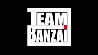 Justin Timberlake  Carry Out TEAM BANZAI Remix [upl. by Millicent]