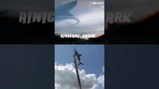 ainicarf shark vs mega shark [upl. by Manda]