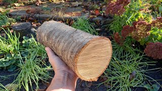 A Whiskey Barrel from an Cherry Log DIY  How to make a Wooden Barrel with your own hands [upl. by Oiludbo]