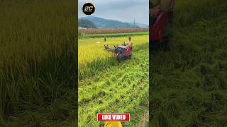 mini dhan katne ki machine shorts farming harvester [upl. by Yeung]