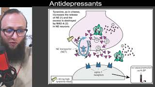 07 35  Inhibition of monoamine oxidase A MAOA and tyramine [upl. by Ahsap476]