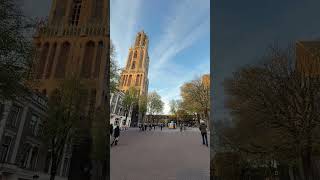 utrecht music lovesong travel dom tower shortvideo Tiewview [upl. by Naesal]