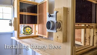 How to Install Honey Bees in Observation Hives Walk Away Splits with Hive Butler step by step [upl. by Lizzie]