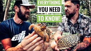 Garden States Total Box Turtle Tutorial [upl. by Atsahs17]