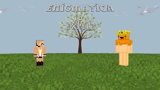 Enigmatica 6 Expert Ep 19 Mod Learning Pt 2 [upl. by Kcirdaed]