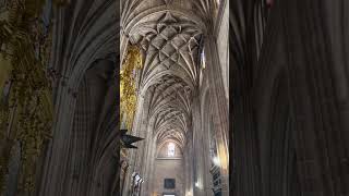 Catedral de Segovia España 🇪🇸 [upl. by Pattie]