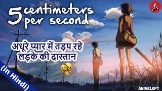 quot5 Centimeters Per Secondquot EXPLAINED in Hindi  Byôsoku 5 senchimêtoru Makoto Shinkais Anime [upl. by Anilehcim855]