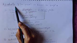 Respiration  Cellular Respiration Anaerobic Respiration  Glycolysis Biology  Class 11 [upl. by Arok]